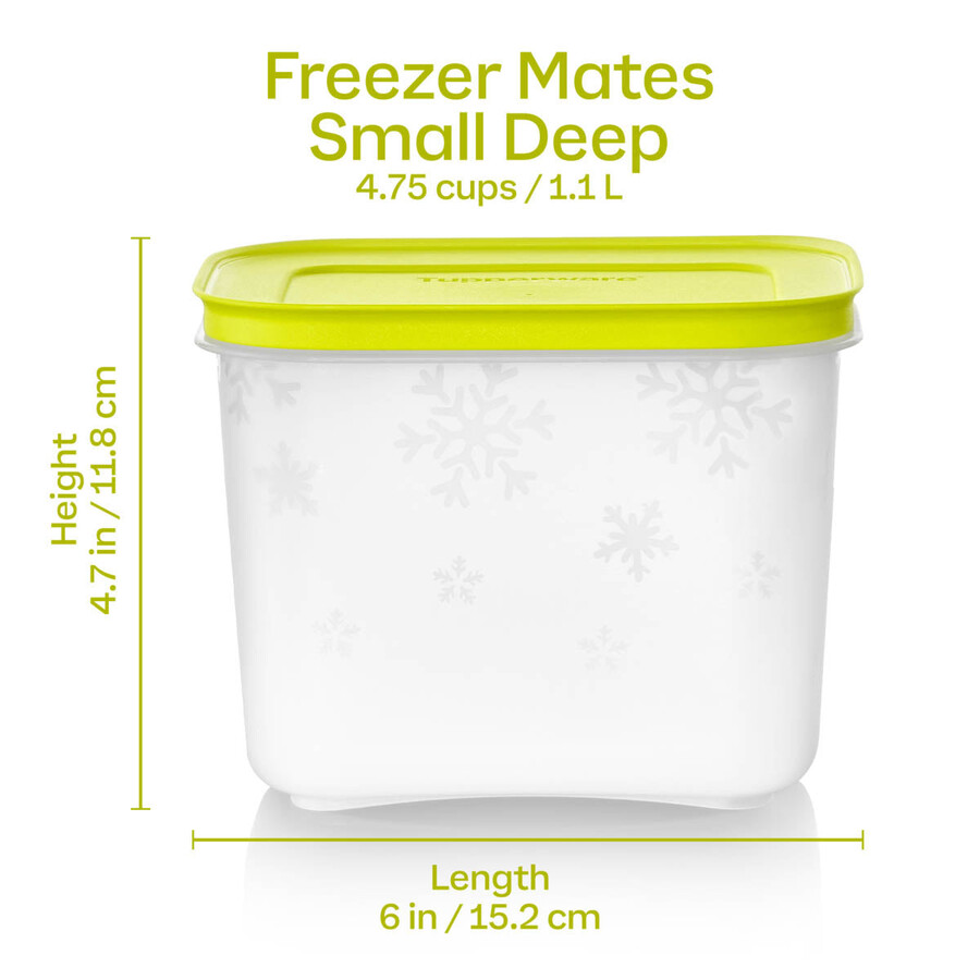 freezer mates plus piccoli contenitori profondi