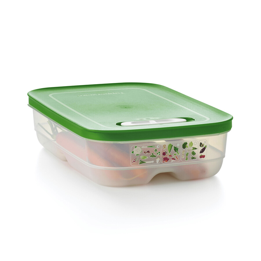 fridgesmart contenitore medio verde invernale