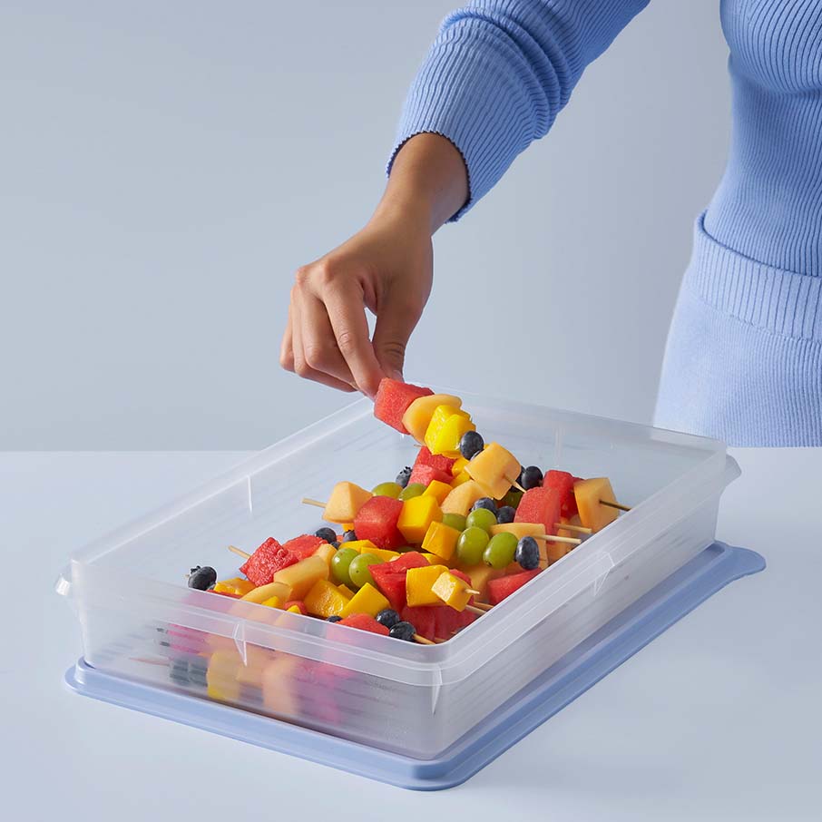 tupperware snack-stor contenitore ermetico per alimenti grande cubetto di ghiaccio