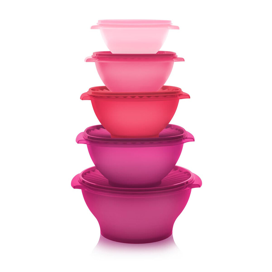 set da 5 ciotole servalier rosa