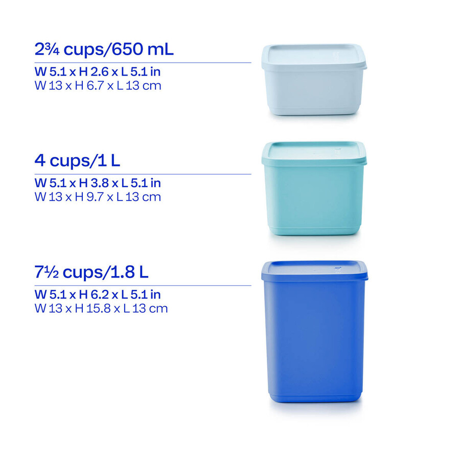 basic bright set da 6 pezzi quadrato blu