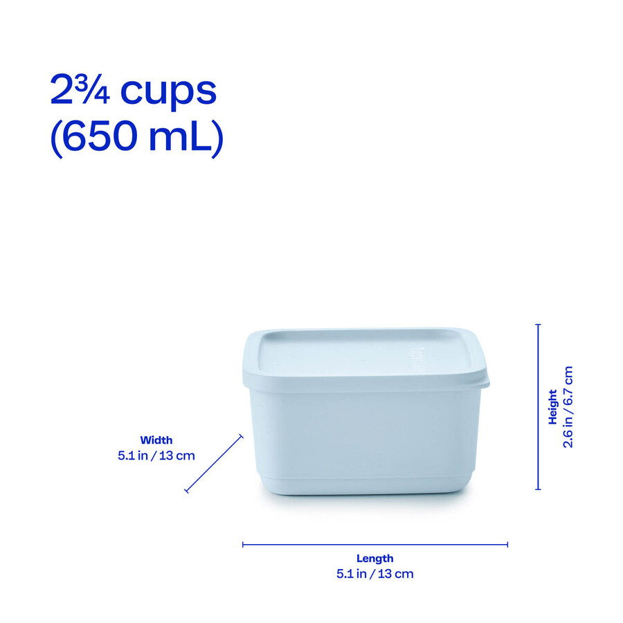 basic bright set da 6 pezzi quadrato blu