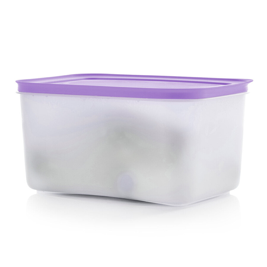 tupperware freezer mates plus medio profondo contenitore per alimenti coperchio per sorbetto