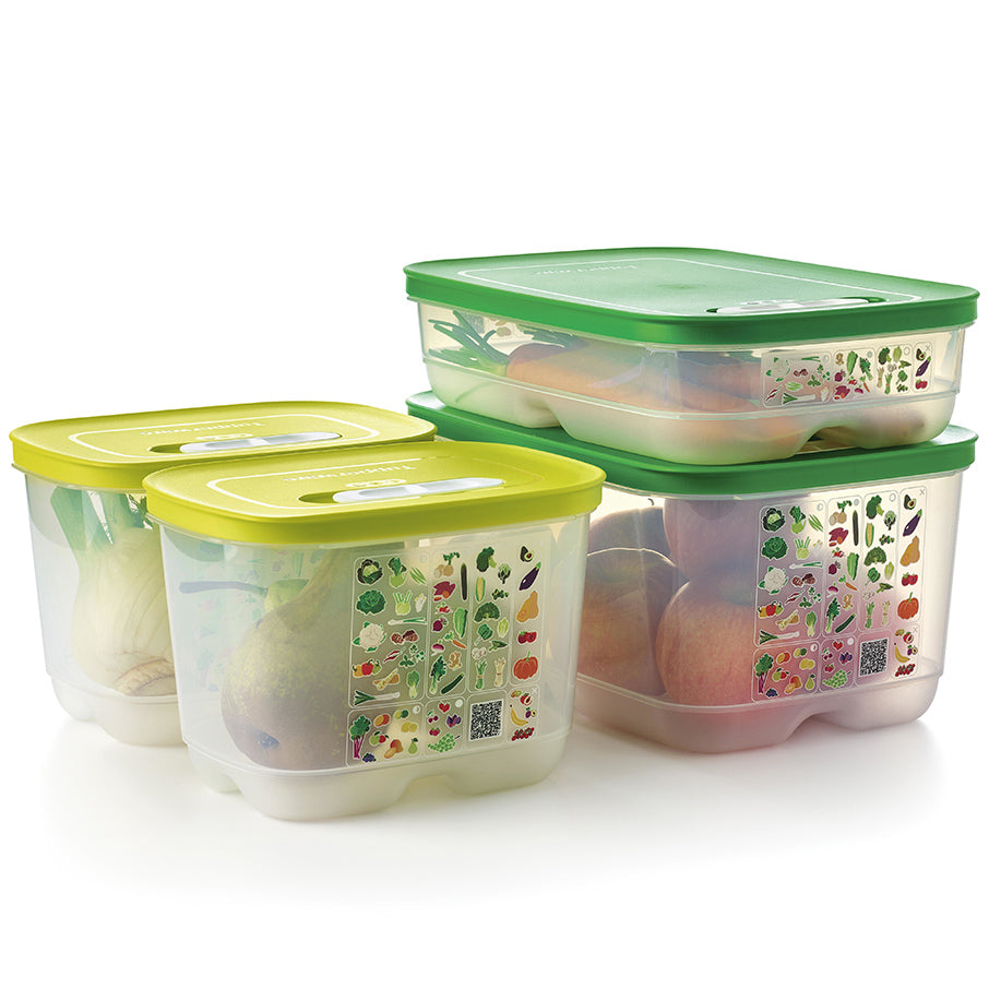 fridgesmart set iniziale da 4 pezzi margarita piccolo intenso winter green medio medio intenso