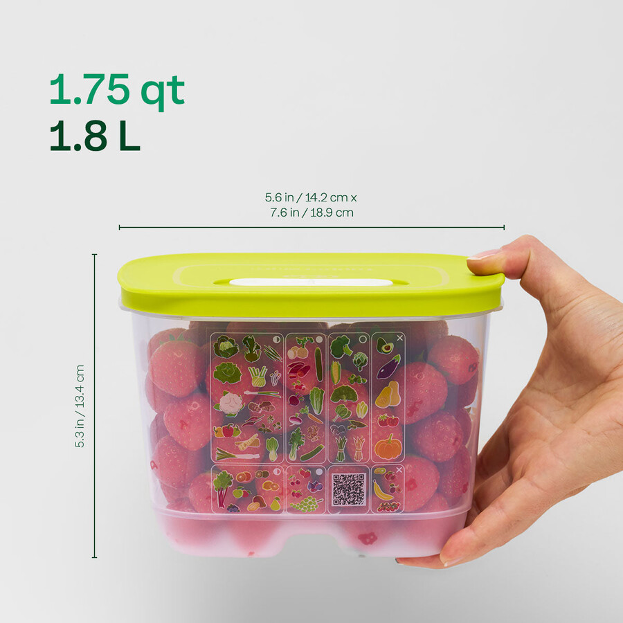 fridgesmart set iniziale da 4 pezzi margarita piccolo intenso winter green medio medio intenso
