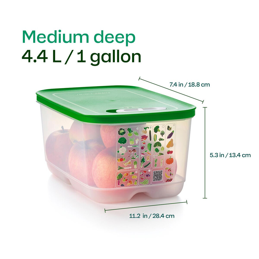 fridgesmart set iniziale da 4 pezzi margarita piccolo intenso winter green medio medio intenso