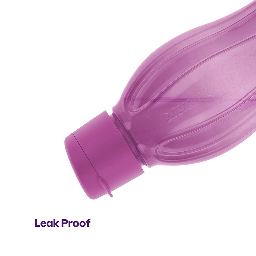 bottiglia eco grande viola