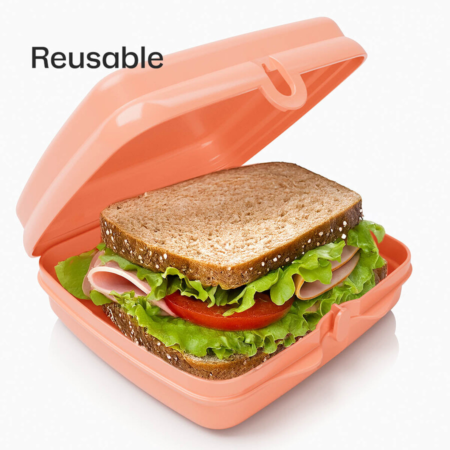 tupperware sandwich keepers - 2 contenitori per il pranzo facili da aprire per bambini