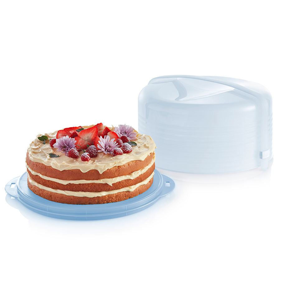 cake taker rotondo