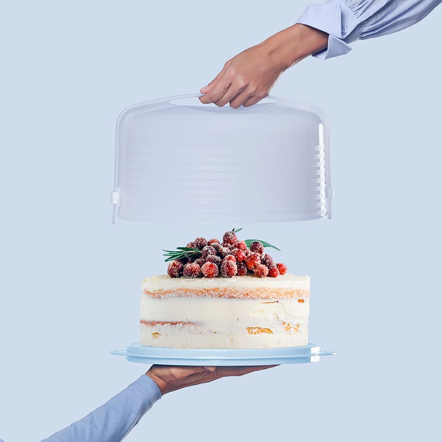 cake taker rotondo